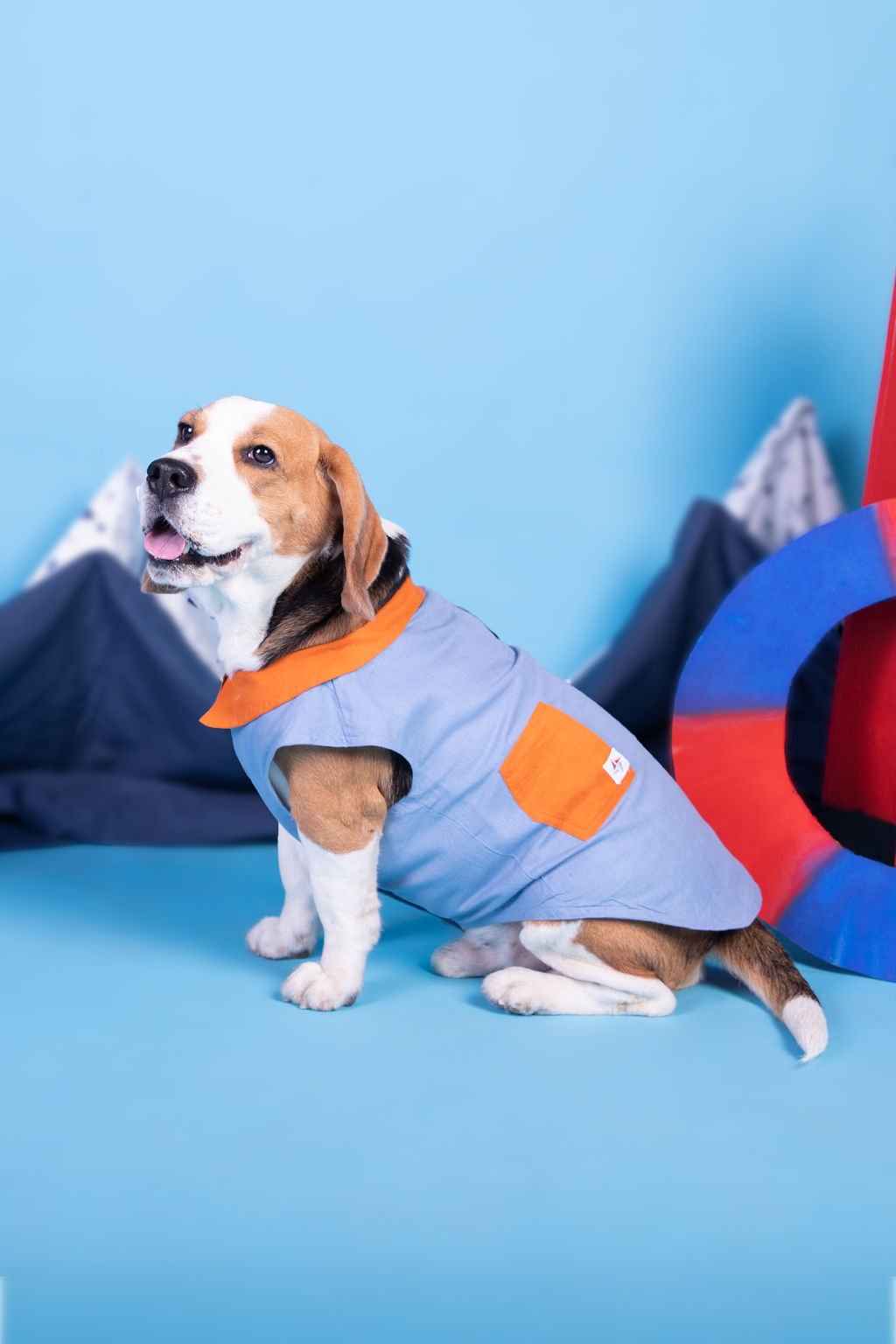 DOG TOGS