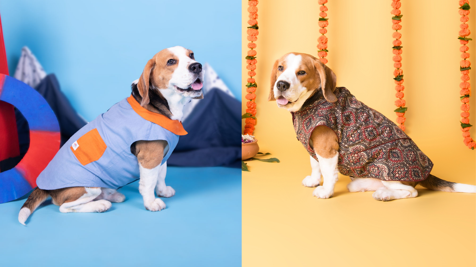 Dog Togs Hero