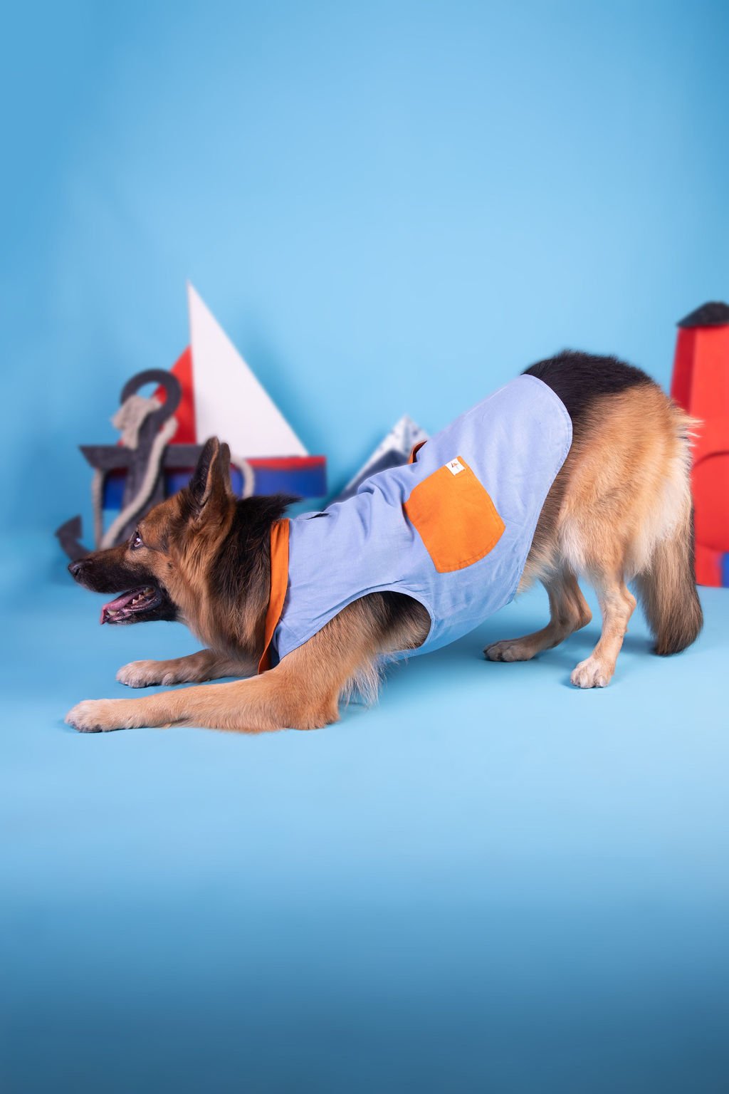 Dog Togs Best Seller 3