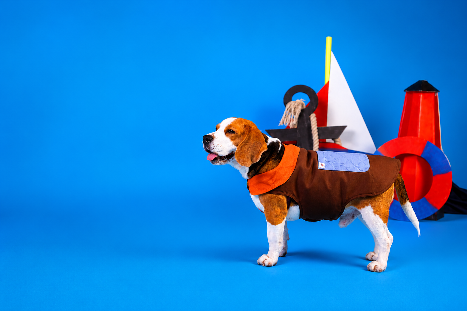 Pawsails