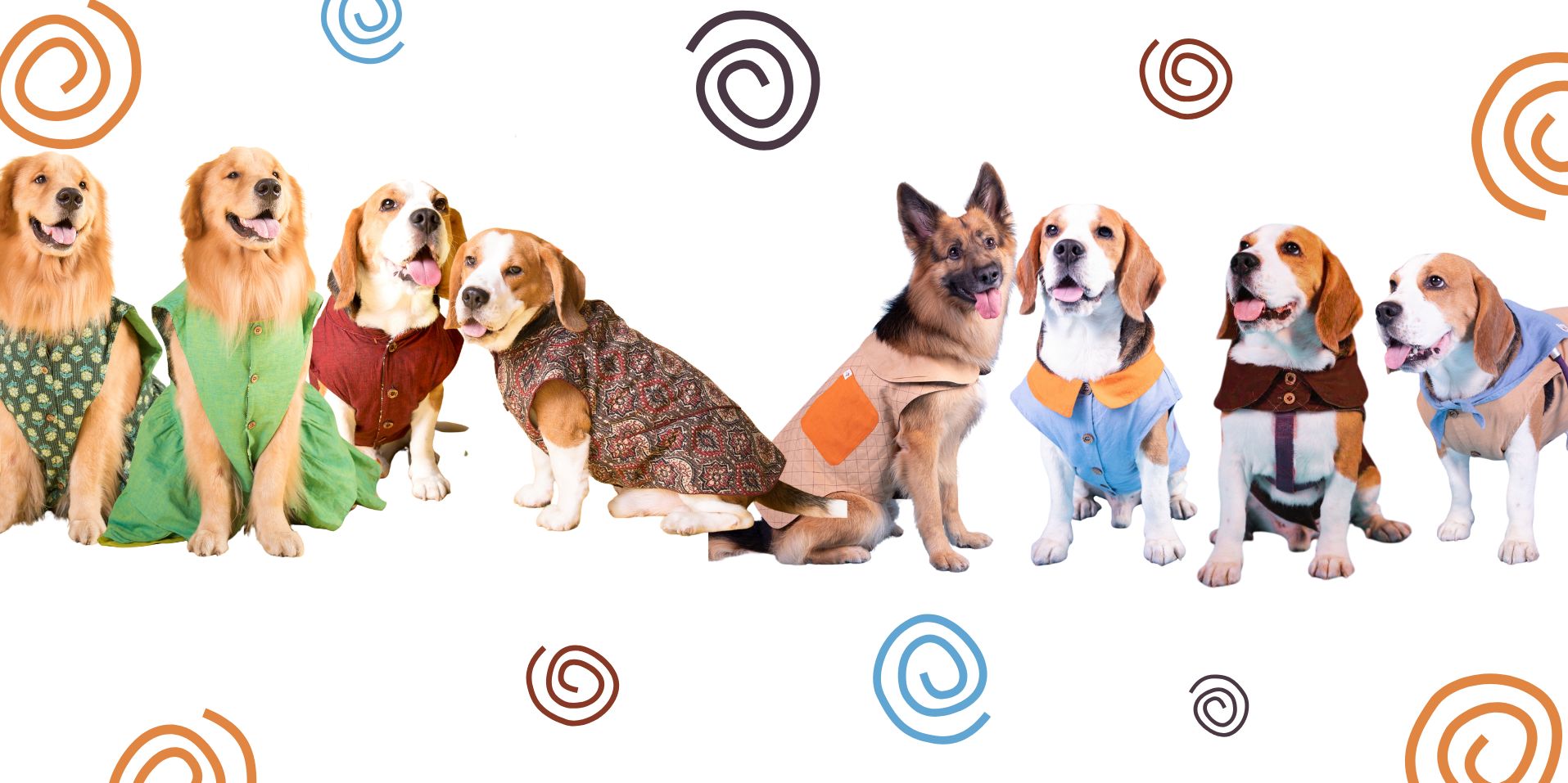 Dog in stylish sustainable clothing